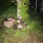 By The Park *