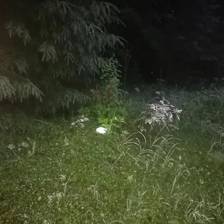 Lejlighed By The Park Imatra