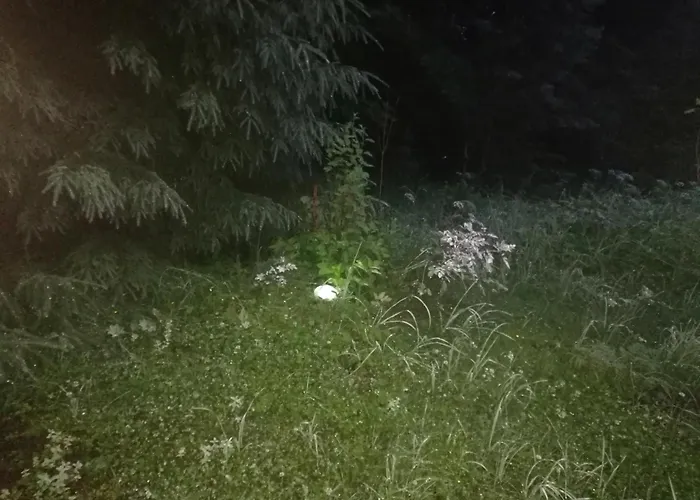 דירה By The Park אימטרה